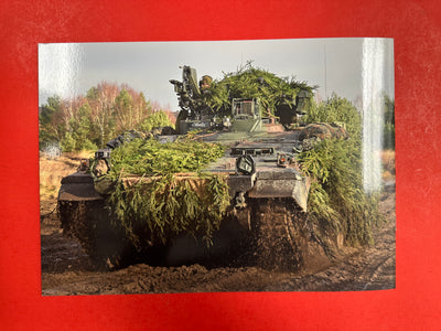Tankograd In Detail : Fast Track 13  Grantiger Löwe German Camouflage - Markings - Soldiers