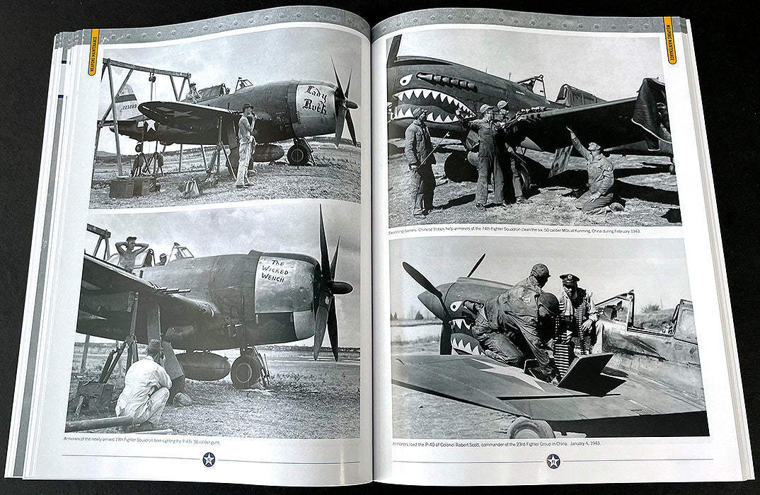 USAAF Aircraft Weapons of WWII