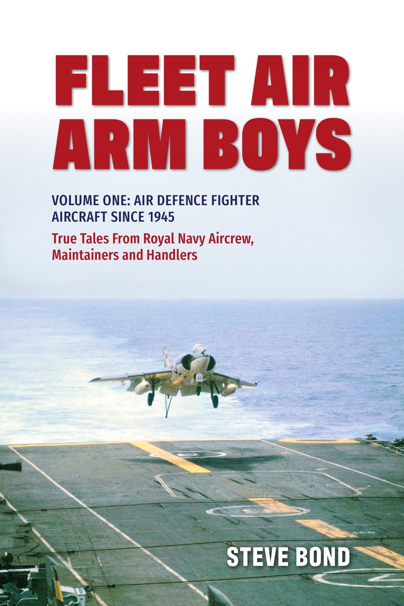 Fleet Air Arm Boys: True Tales from Royal Navy Aircrew, Maintainers and Handlers