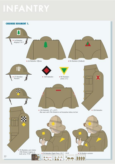 WW1 British Battle Insignia