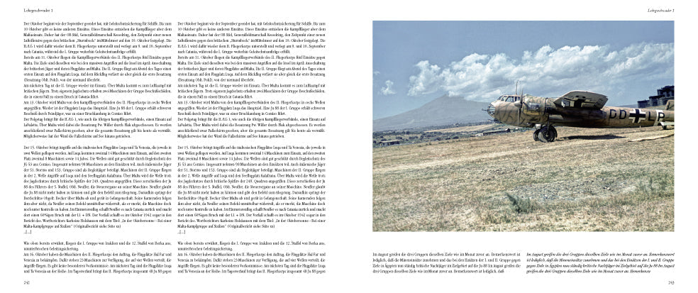 Das Lehrgeschwader 1: The Mediterranean Campaign 1941/1942