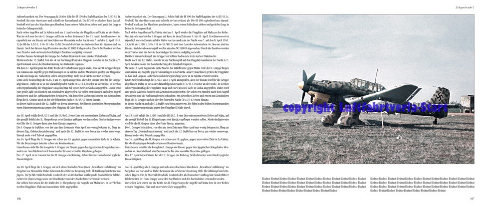 Das Lehrgeschwader 1: The Mediterranean Campaign 1941/1942