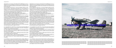 Das Lehrgeschwader 1: The Mediterranean Campaign 1941/1942