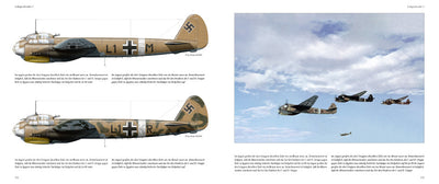 Das Lehrgeschwader 1: The Mediterranean Campaign 1941/1942