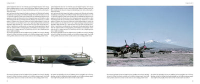 Das Lehrgeschwader 1: The Mediterranean Campaign 1941/1942