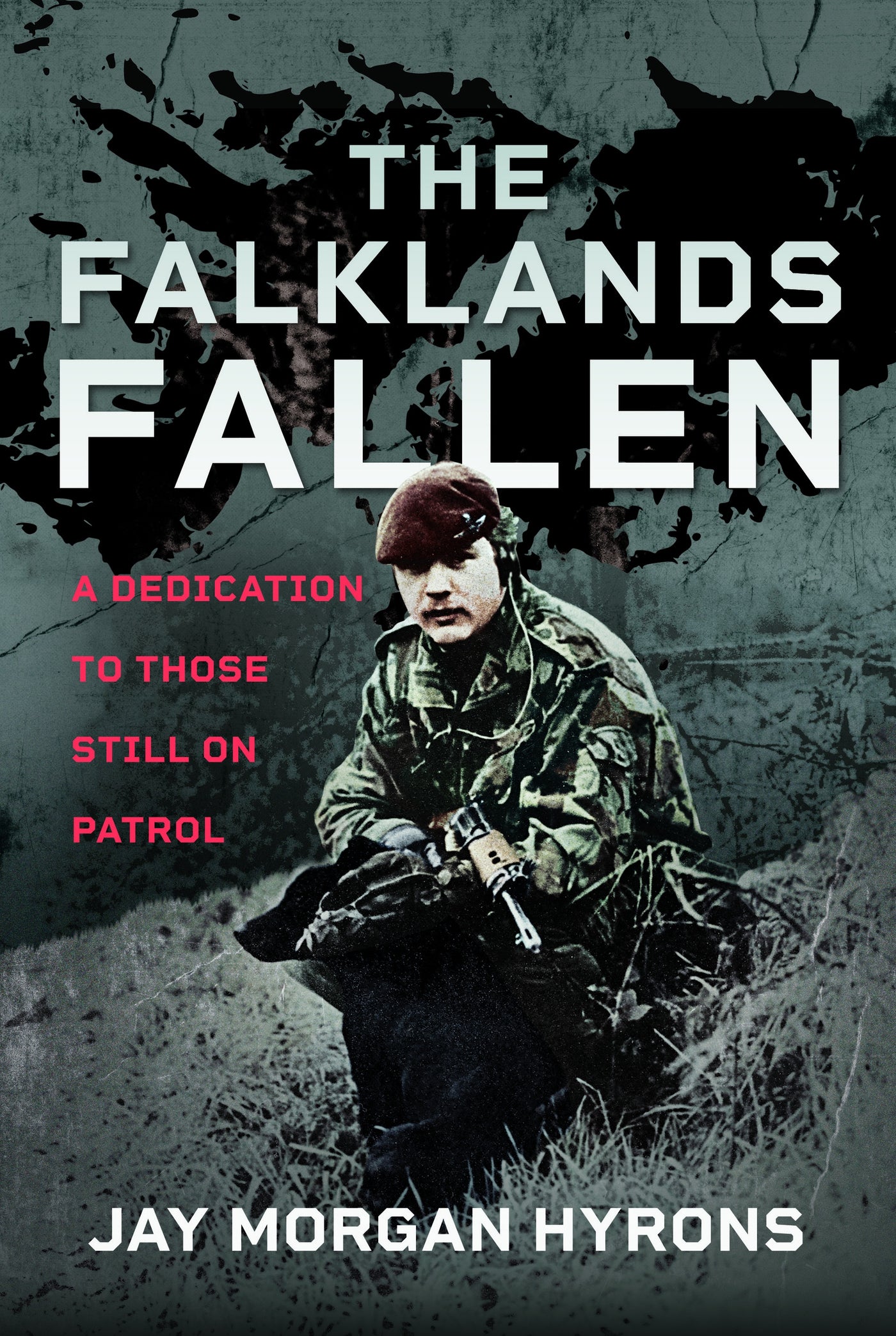 The Falklands Fallen