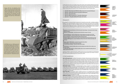 Vehicles of the Polish 1st Armoured Division – Camouflage Profile Guide