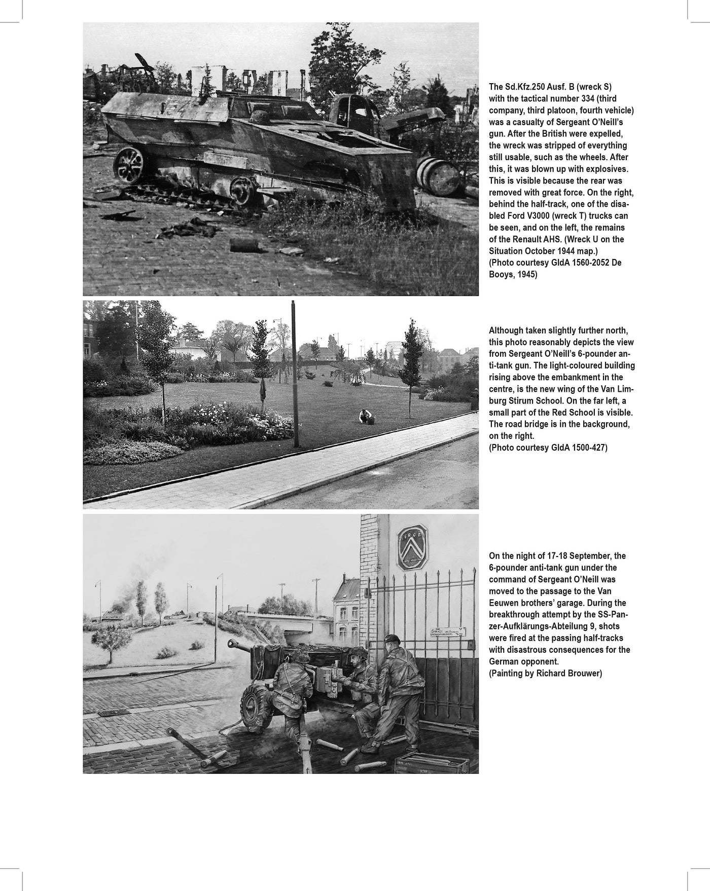 Einsatz Arnheim: German Armoured Units and their Opponents at Arnhem and Oosterbeek September 1944