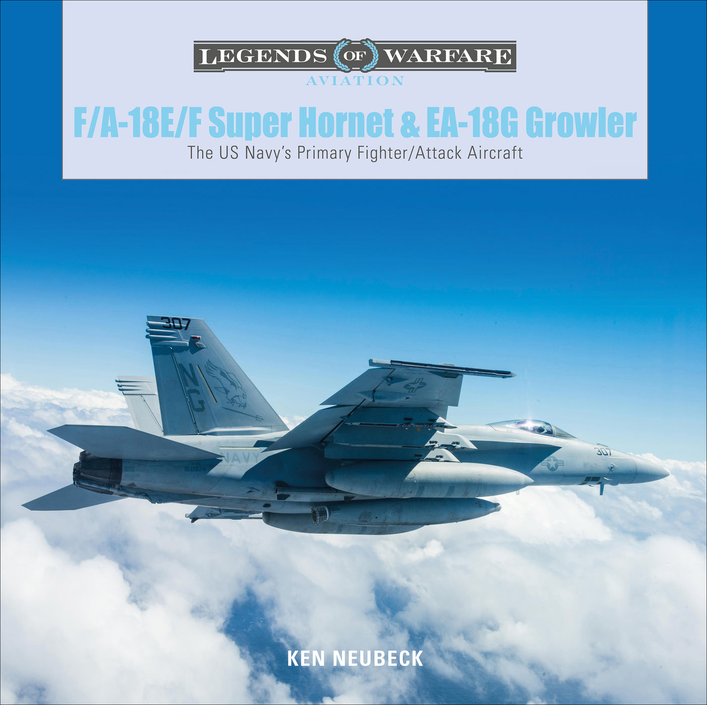 F/A-18E/F Super Hornet und EA-18G Growler 