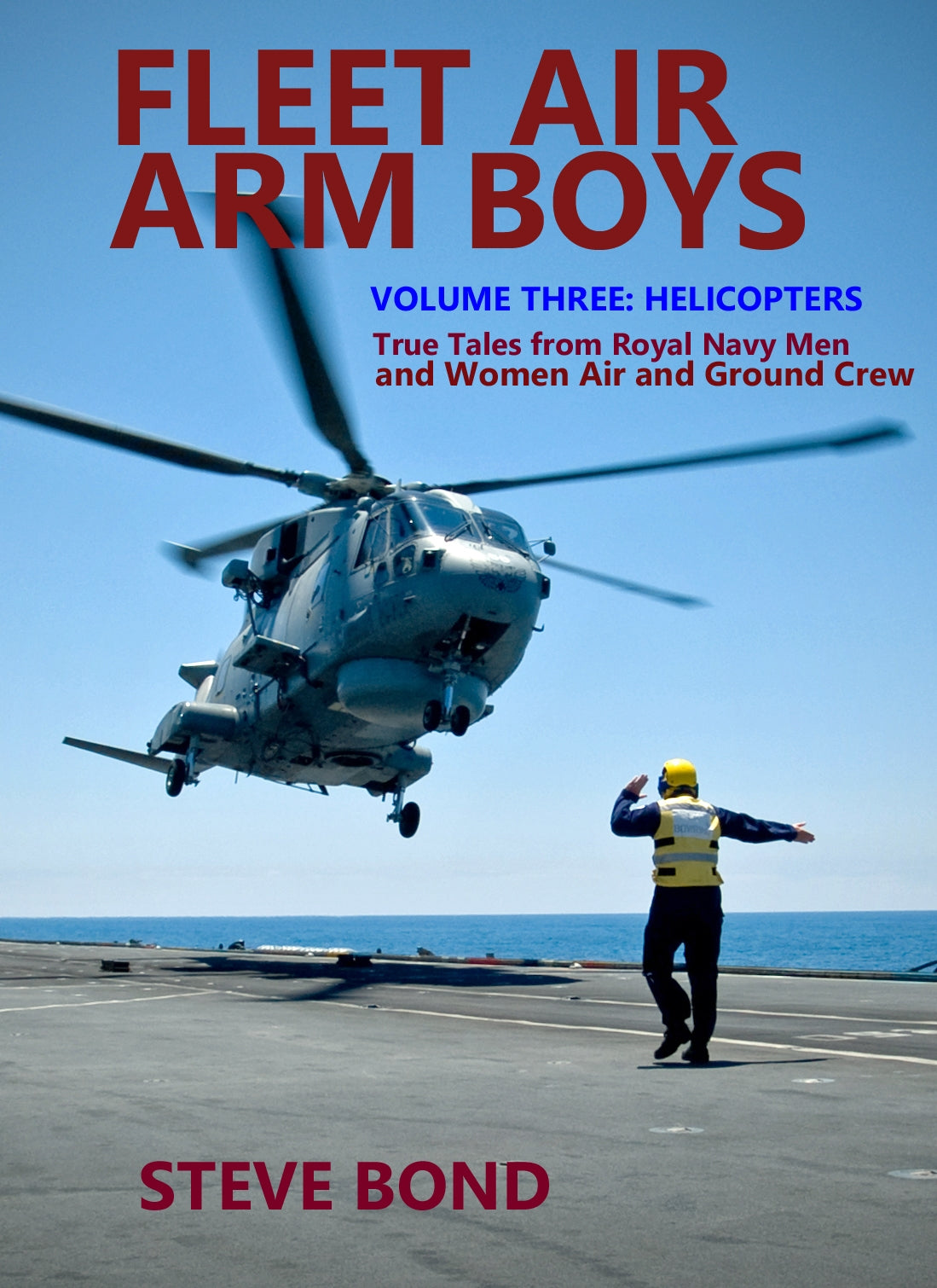 Fleet Air Arm Boys: True Tales from Royal Navy Men and Women Air and Ground Crew