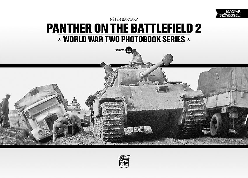 Panther auf dem Schlachtfeld, Band 2 
