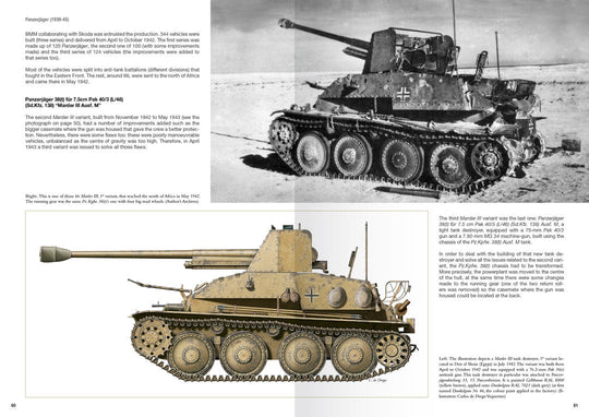 ABT751-Panzerjager60-