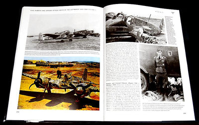 Dive-Bombers and Ground-Attack Units of the Luftwaffe 1933-45 Vol. 1