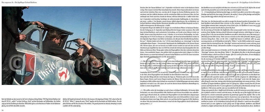 The Forgotten Ace: Fighter Pilot Gerhard Barkhorn – RZM Imports Inc