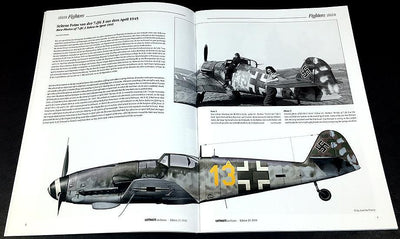 Luftwaffe im Focus No. 29