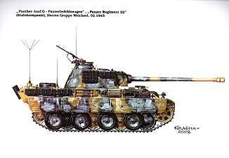 Panther & Variants