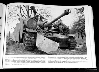 Sturmgeschutz III on the Battlefield, Volume 2
