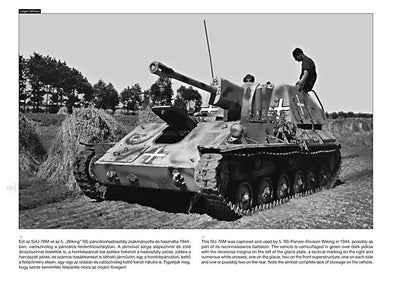 SU-76 on the Battlefield