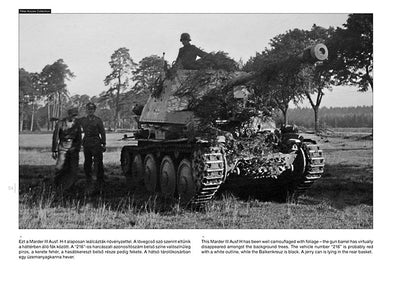 Panzerjäger auf dem Schlachtfeld 