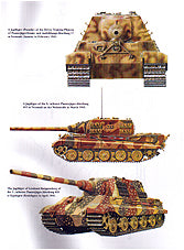 Kampfgeschichte der deutschen schweren Panzerabwehreinheit 653
